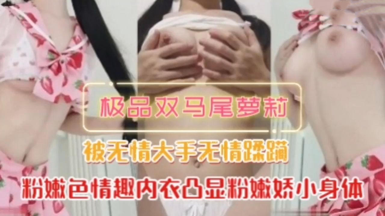 无情蹂躏极品双马尾小萝莉