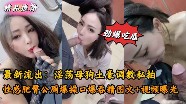 最新流出淫荡母狗被土豪公厕调教爆操私拍流出！