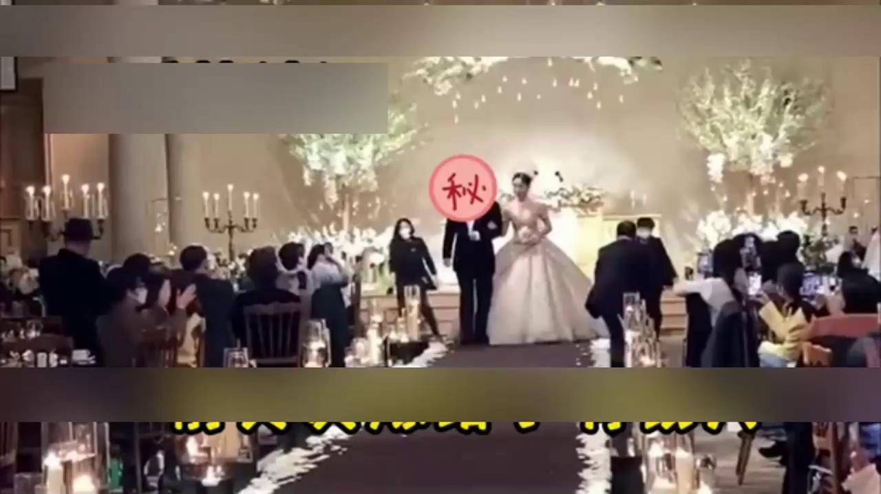 还是来参加你的婚礼再见了小母狗追寻你的幸福去吧
