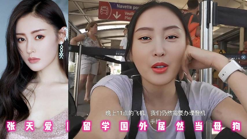 张天爱丨留学国外居然当母狗