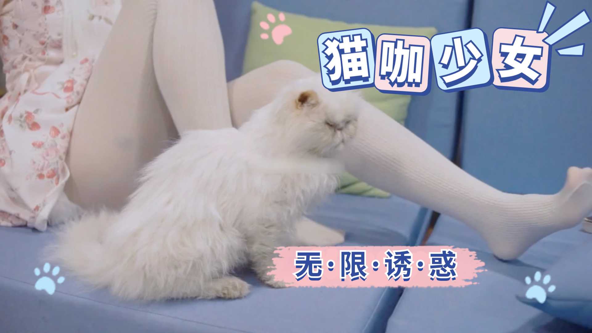 猫咖少女 无限诱惑3
