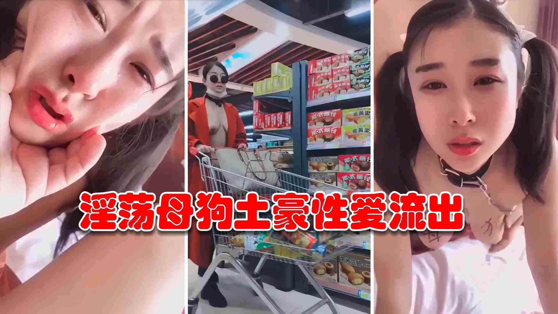 极品淫荡母狗‘夏儿’土豪性爱私密流出