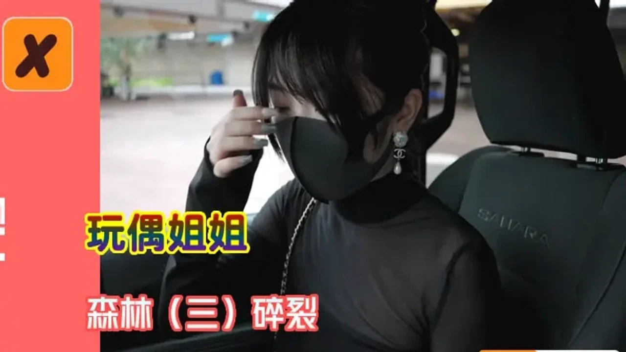 森林（三）碎裂