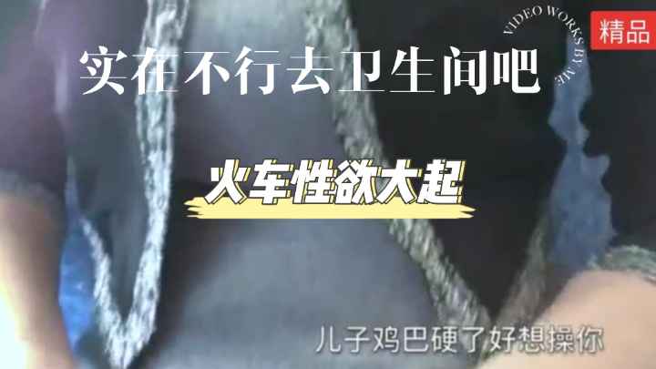 母子火车上性欲大发跑去卫生间操逼
